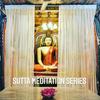 undefined Sutta Meditation Series