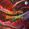 undefined Teoría De Bourdieu