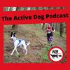 undefined The Active Dog Podcast