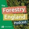 undefined The Forestry England Podcast