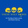 undefined These Holy Bones: Walking the Camino de Santiago