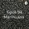 undefined Tipos De Marihuana