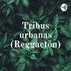 undefined Tribus urbanas (Reggaetón)