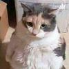 undefined Video Juegos
