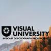 undefined Visual University
