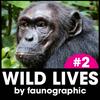 undefined WILD LIVES