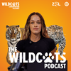 undefined WildCats Podcast