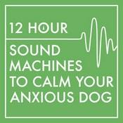 Podcast 12 Hour Sound Machines to Calm Your Anxious Dog