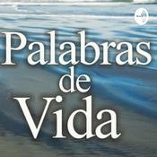 Podcast 31 de Julio 2020