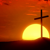 Podcast A Brother's Code Podcast