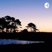 Podcast Adru Saucedo Terapias De Luz Y Amor