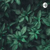 Podcast Alcantarillado