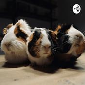 Podcast Hamster Family Court