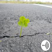 Podcast Apex Prosperity