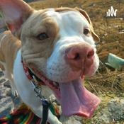 Podcast Azul En Inglés