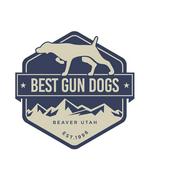Podcast Best Gun Dogs podcast