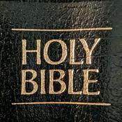 Podcast Bible Perplexities