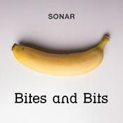 Podcast Bites and Bits