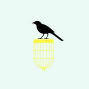 Podcast 𝘽𝙡𝒂𝗰𝘬 𝐛𝗶𝘳𝐝