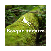 Podcast Bosque Adentro, meditación y espiritualidad con Nicolás Achury