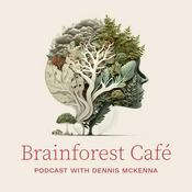 Podcast Brainforest Café