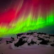 Podcast Brian's Bigfoot