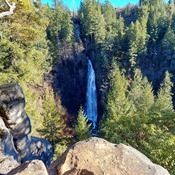 Podcast Buzz reads scripture, with thoughts