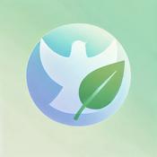 Podcast Cápsulas Divinas: Reflexiones diarias