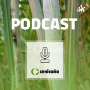 Podcast Cenicaña | Podcast