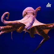 Podcast Curiosidades de los animales marinos
