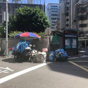 Podcast Daisy社畜厭世生活談