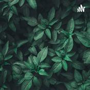 Podcast Diabetes trabalho de cdd