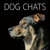 Podcast Dog Chats