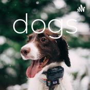 Podcast dogs