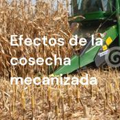 Podcast Efectos de la cosecha mecanizada