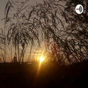 Podcast El papel que desempeñan las y los jóvenes en el desarrollo tecnológico