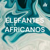 Podcast ELEFANTES AFRICANOS