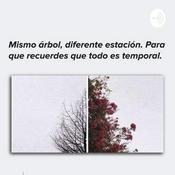 Podcast Emison Radial Sharon Sarmiento