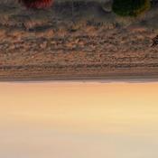 Podcast Enema of Common Sense