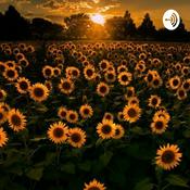 Podcast Entrelazando la vida de Luz Mery