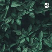 Podcast Estilos de aprendizaje