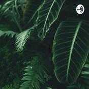 Podcast EveningVibez