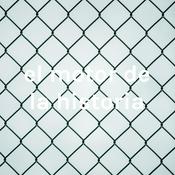 Podcast federico engels