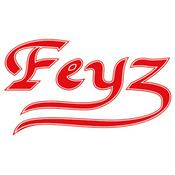 Podcast Feyz Deutschland