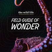 Podcast Field Guide of Wonder