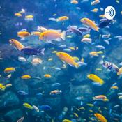 Podcast Fishies