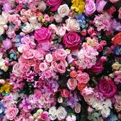 Podcast GABRIELA GUZMAN