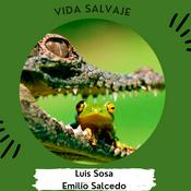 Podcast Vida salvaje