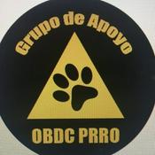 Podcast Grupo de Apoyo OBDCPRRO
