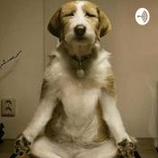 Podcast Hiddenmonkey